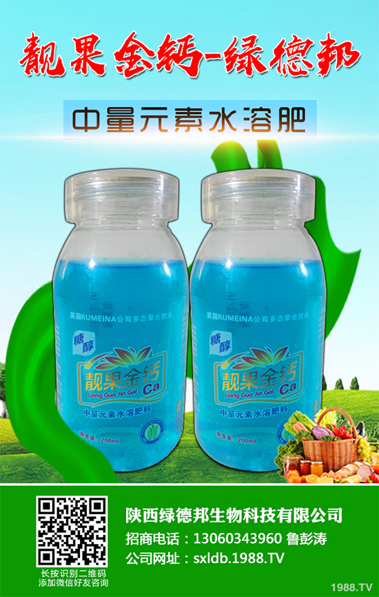 盆栽蔬菜有哪些品種？盆栽蔬菜的種植條件和注意事項(xiàng)