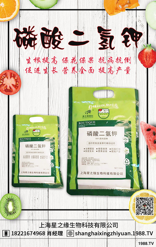 盆栽蔬菜有哪些品種？盆栽蔬菜的種植條件和注意事項(xiàng)