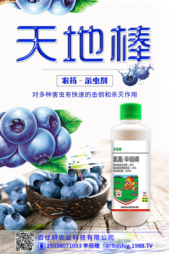 空心菜用什么肥好，空心菜的施肥技巧有哪些？