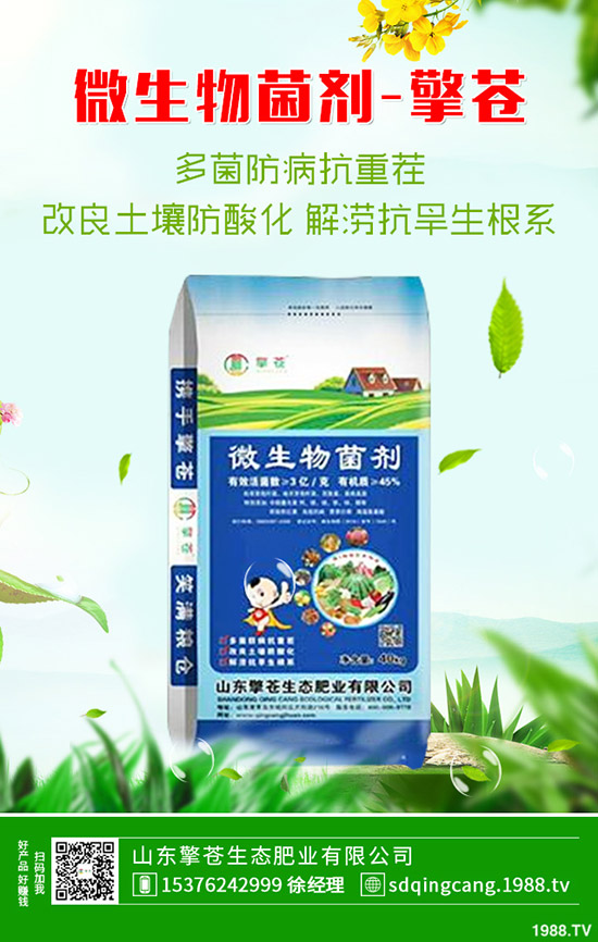     2019-12-7磷酸一銨行情低迷！今日一銨最新價(jià)格早報(bào)！