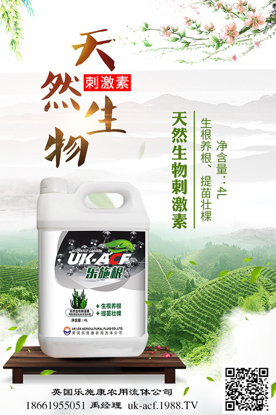 冬季該如何栽培馬鈴薯？七步輕松獲得高產(chǎn)