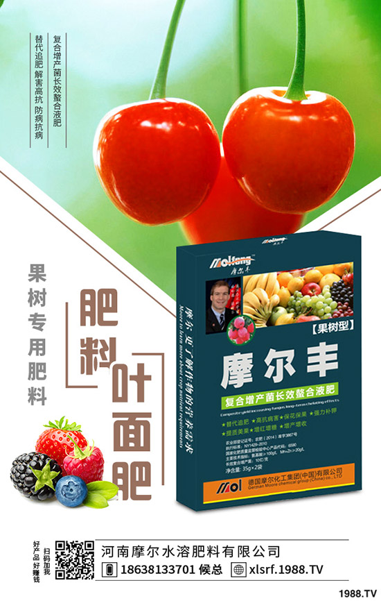 黃精種植到底掙不掙錢？黃精種植要點(diǎn)分析！