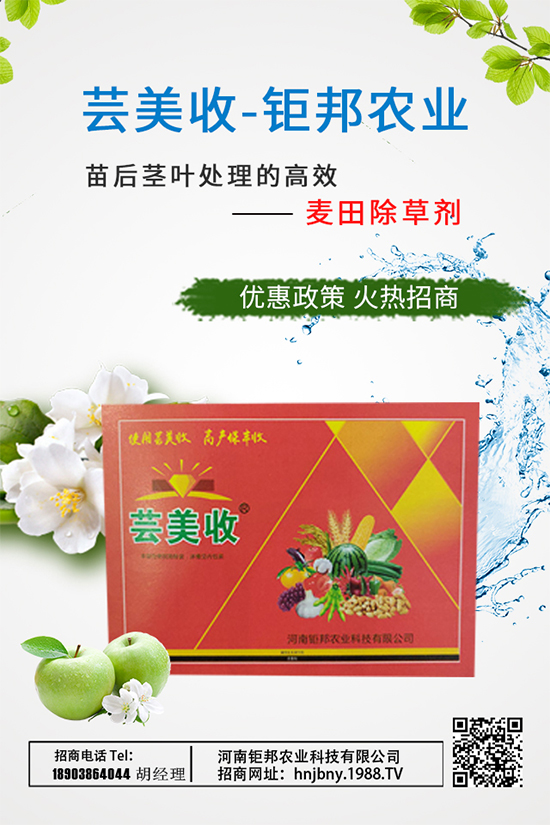 大蔥需肥特性，大蔥施肥技術要點有哪些？