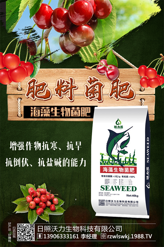 豆角要不要打尖？豆角的打尖方法有哪些？