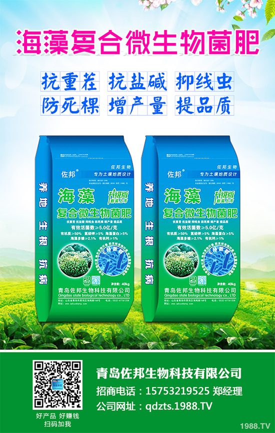     芹菜是日常生活中常見的蔬菜品種，對種植環(huán)境要求相對較高，只有在黏性土壤上才可以正常的生長。那么，芹菜什么時候種植比較好？大棚芹菜該如何種植呢？