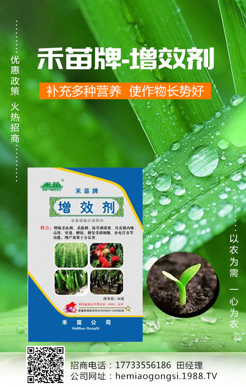 香瓜種植管理做好這些，產(chǎn)量收益有