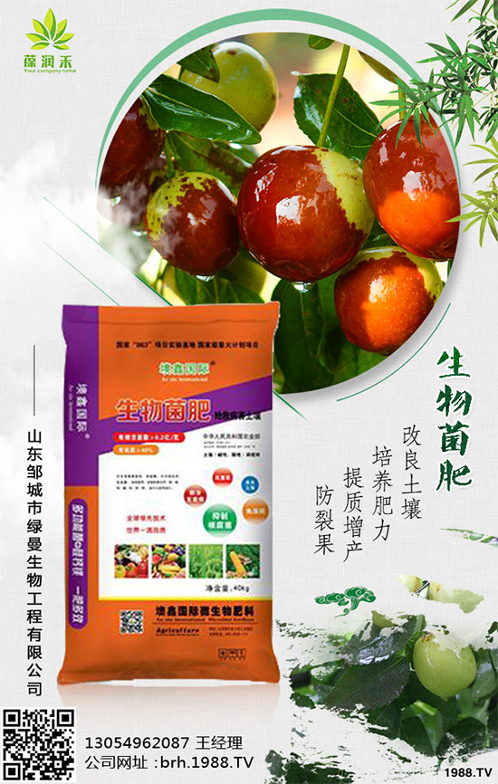 甘蔗是如何種植的，秋植蔗栽培技術(shù)要點(diǎn)有哪些？