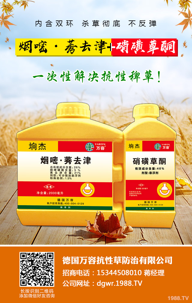 小麥除草劑怎么施用？小麥除草劑施用方法