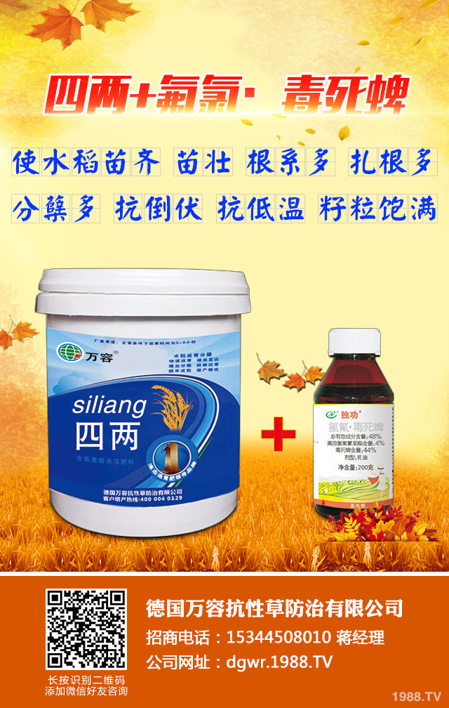 ��������݄�������Щ����������݄���B