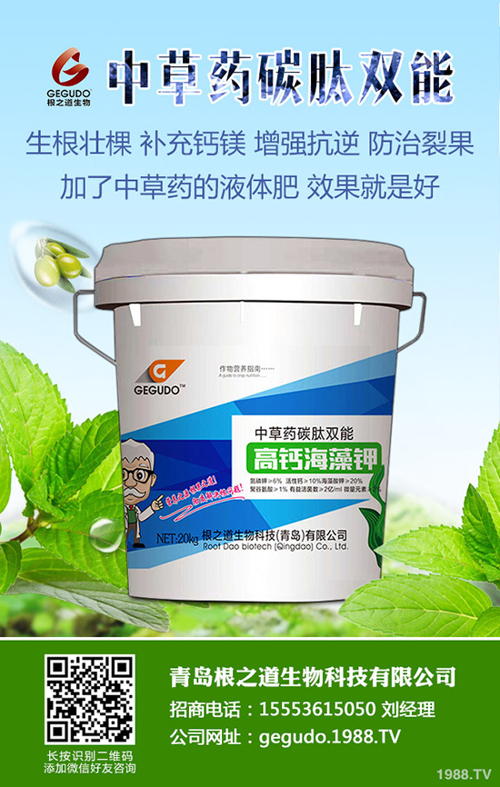 2019-8-28��(f��)�Ϸʃr(ji��)���Ј������Ո�(b��o)