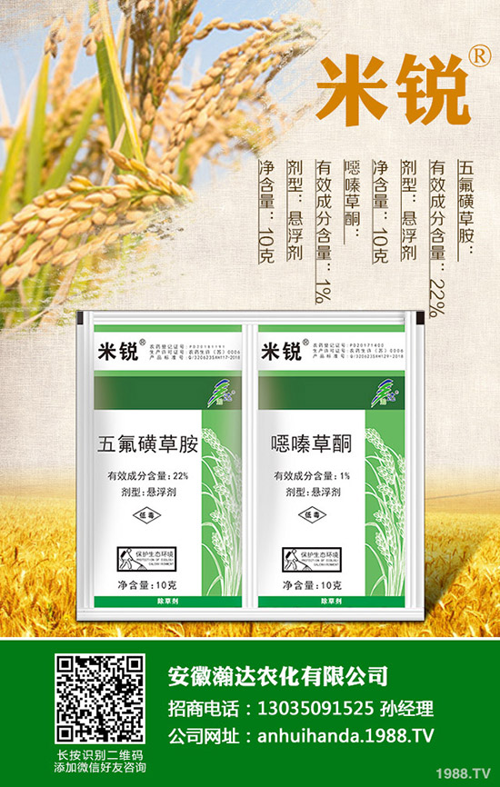 �Բ�������Щ��̎�����˵ĠI�B(y��ng)�r(ji��)ֵ����Щ��