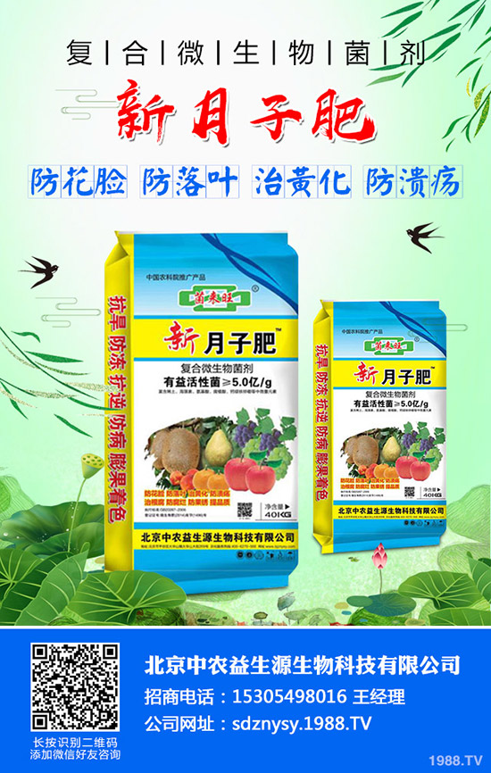 蔬菜黃葉是什么原因？蔬菜黃葉防治技巧！