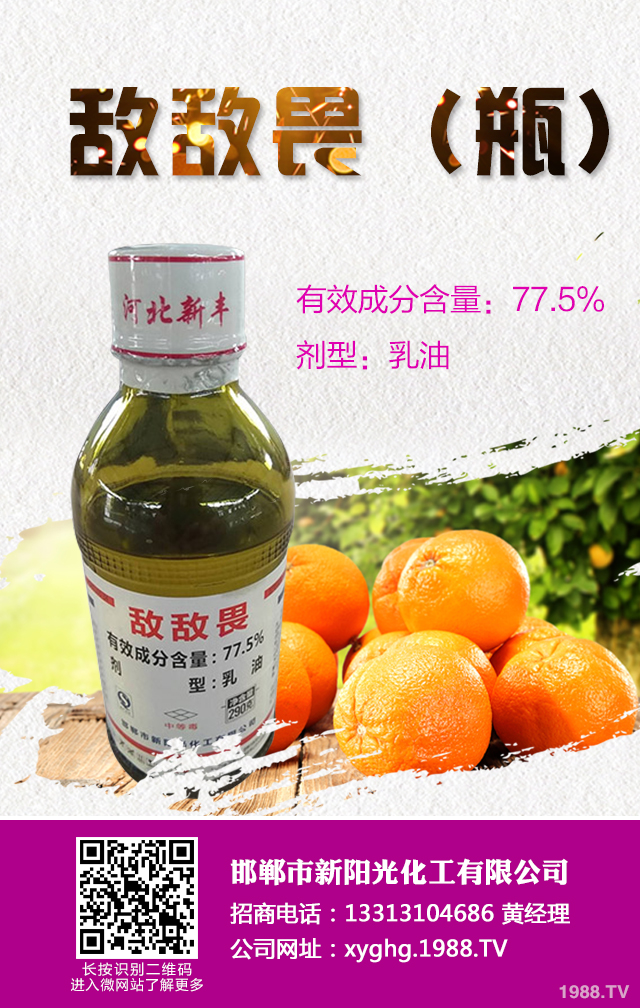 �������x(ch��ng)�ݺ���ô�k���������x(ch��ng)�ݺ��������g(sh��)