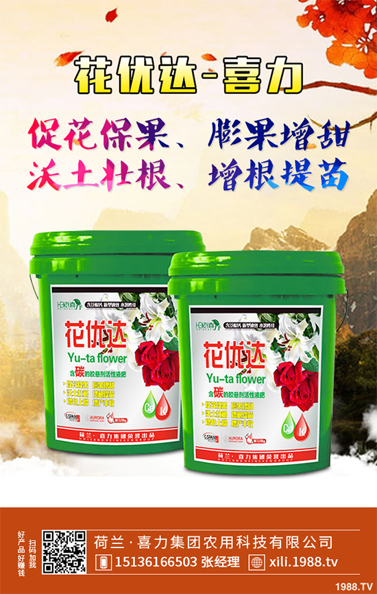 芥菜種植需要注意什么？芥菜高效種植技術(shù)及管理事項