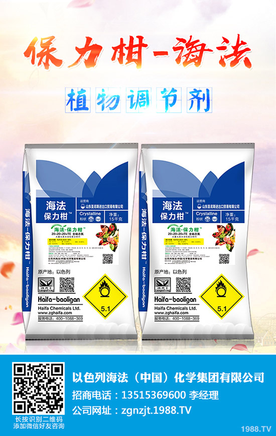 今日最新磷酸一銨主流出廠報價一覽2019-9-11