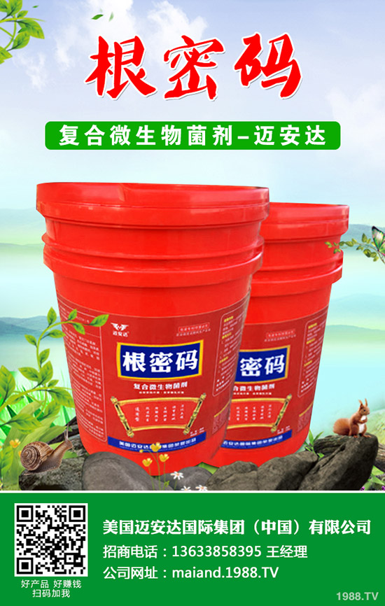 西葫蘆什么時候種植?西葫蘆種植技術(shù)!