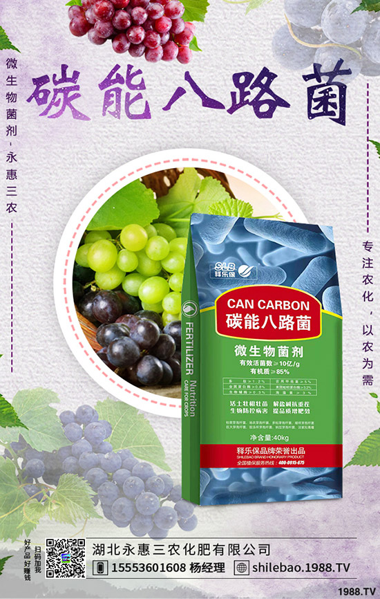     ����ʲô�r(sh��)��Nֲ���m�����˷Nֲ�r(sh��)�g���Nֲ�������g(sh��)��