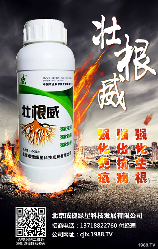 �ཷ�ķNֲ��������Щ���ཷ�Nֲ�^������Ҫע��Ď״��}