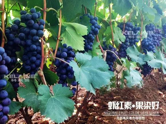 ��Ȼ����(sh��)��ɫ�����������r�t�ء��Ⱦ�ã�