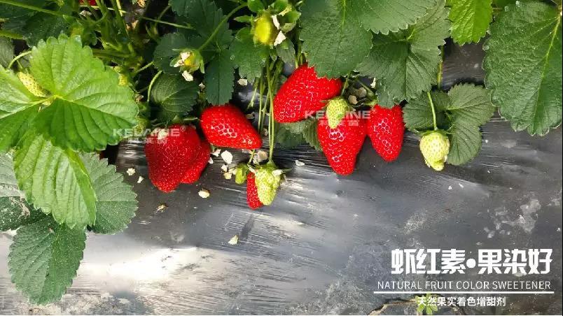 ��Ȼ����(sh��)��ɫ�����������r�t�ء��Ⱦ����