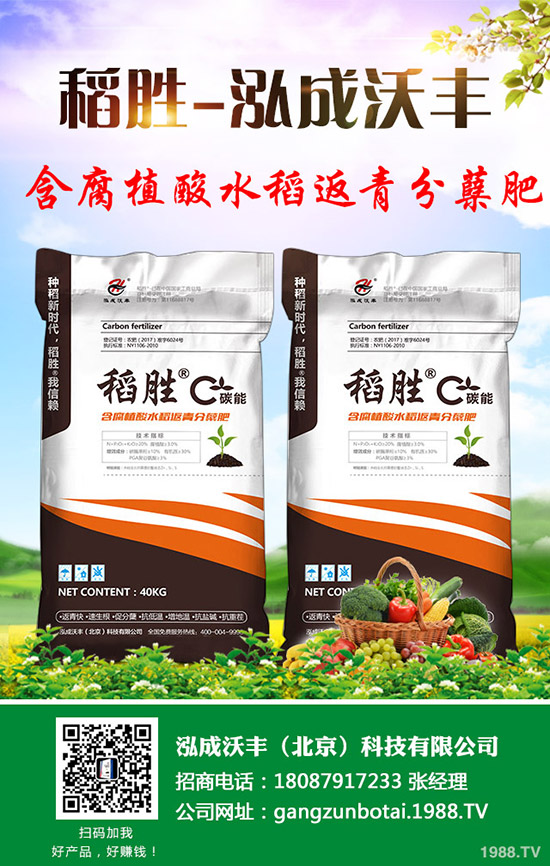     �R��������������؃r(ji��)�񯂝q�����������������2019-9-12