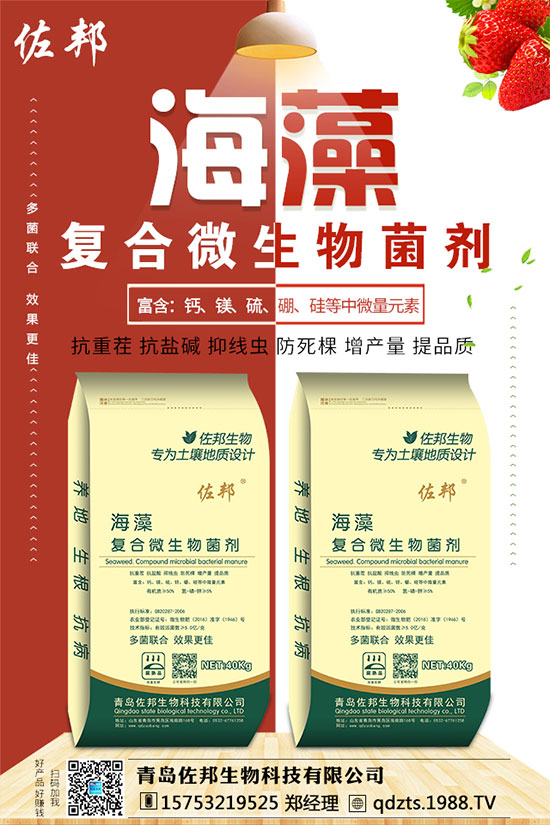 紫薯如何種植?紫薯種植方法和注意事項(xiàng)!