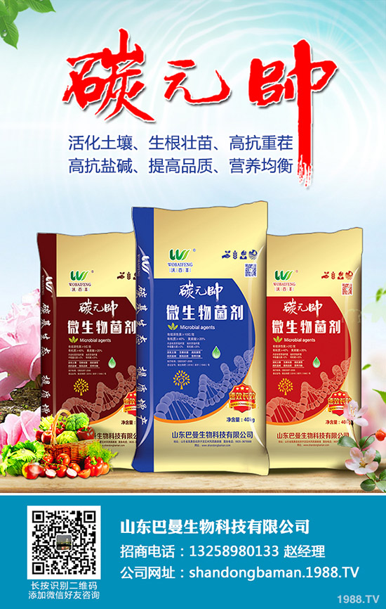 中秋假期后!最新磷酸二銨價格行情走勢分析2019-9-16