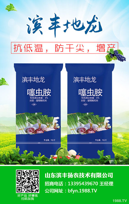     秋冬甘蔗什么時(shí)候種植？甘蔗的種植時(shí)間及種植技術(shù)！