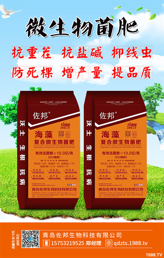 大蔥該如何施肥才能高產(chǎn)？大蔥高產(chǎn)施肥技術(shù)