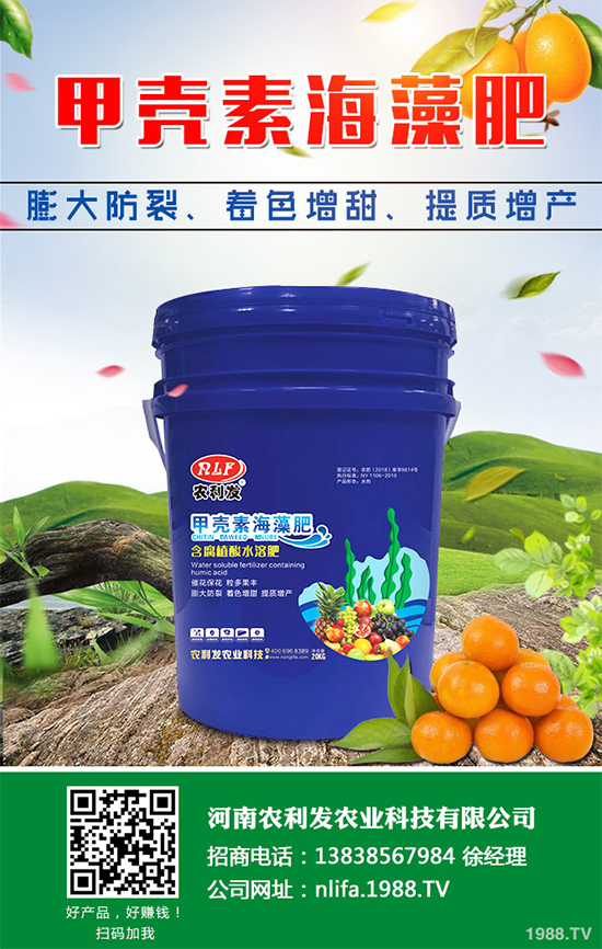 大蔥干尖是咋回事？怎樣解決？大蔥干尖的原因及防治