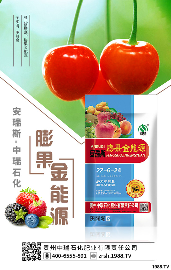 萵苣該如何育苗?萵苣苗期管理技術(shù)要點(diǎn)