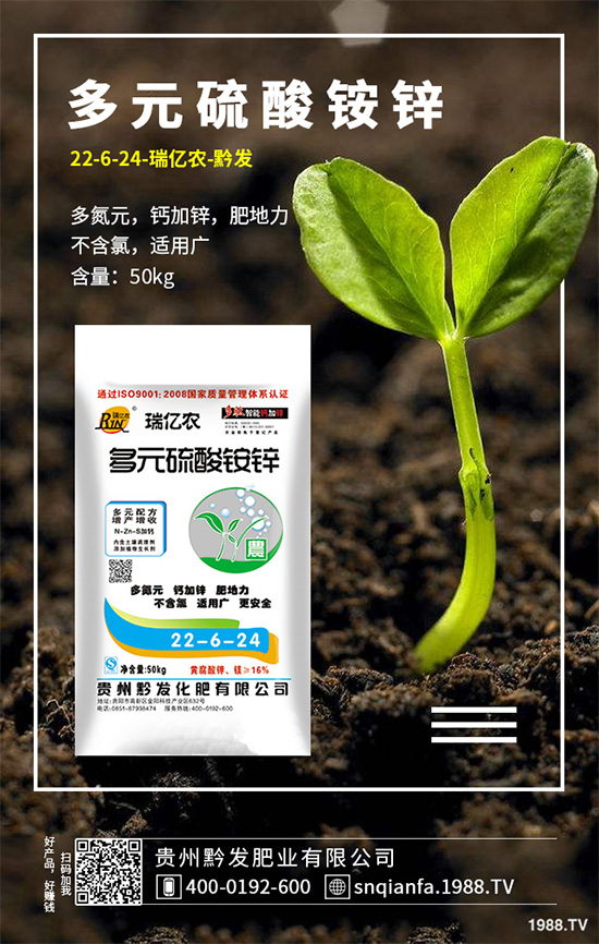 萵苣該如何育苗?萵苣苗期管理技術(shù)要點(diǎn)