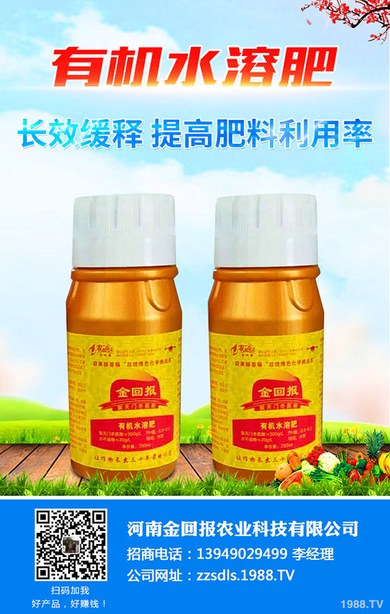 河南金回報農(nóng)業(yè)科技有限公司-(3)