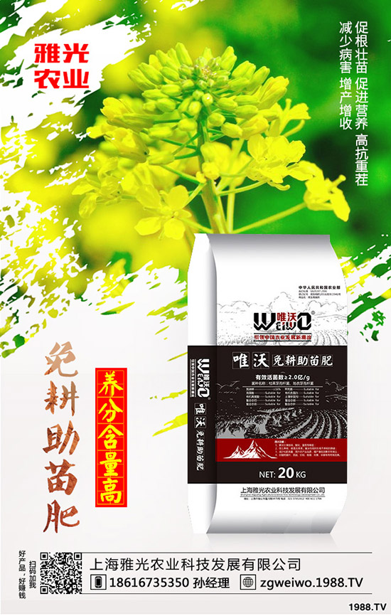 紫薯有哪些營養(yǎng)價值,紫薯與紅薯相比哪個更有營養(yǎng)?