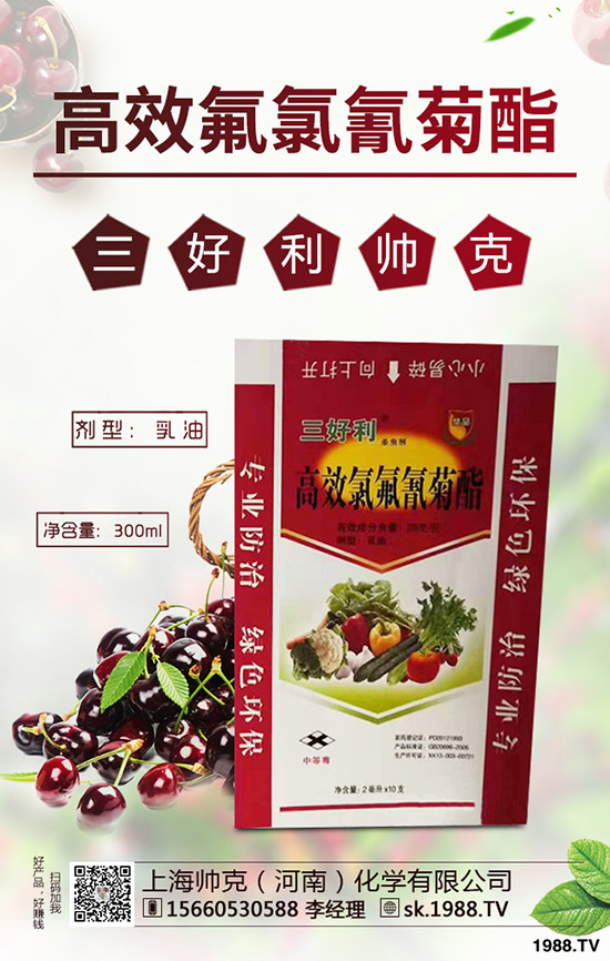 ��ľ��(sh��)�ķNֲǰ���������ηNֲ��ľ��(sh��)��