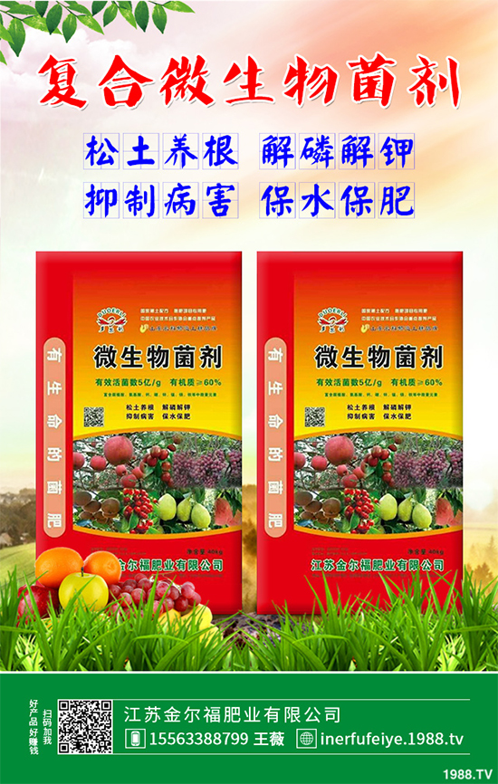 豌豆什么時(shí)候種植？該怎么種？豌豆種植時(shí)間及種植技術(shù)要點(diǎn)