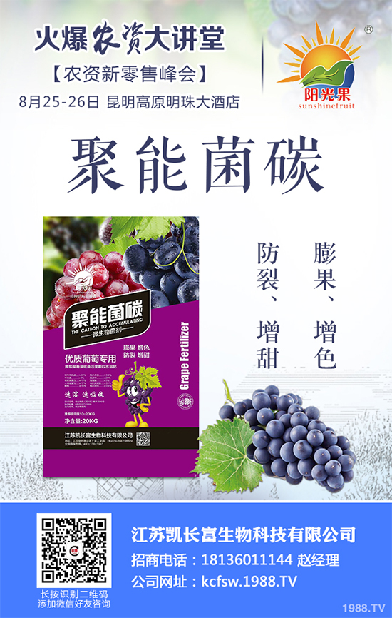 豌豆什么時(shí)候種植？該怎么種？豌豆種植時(shí)間及種植技術(shù)要點(diǎn)