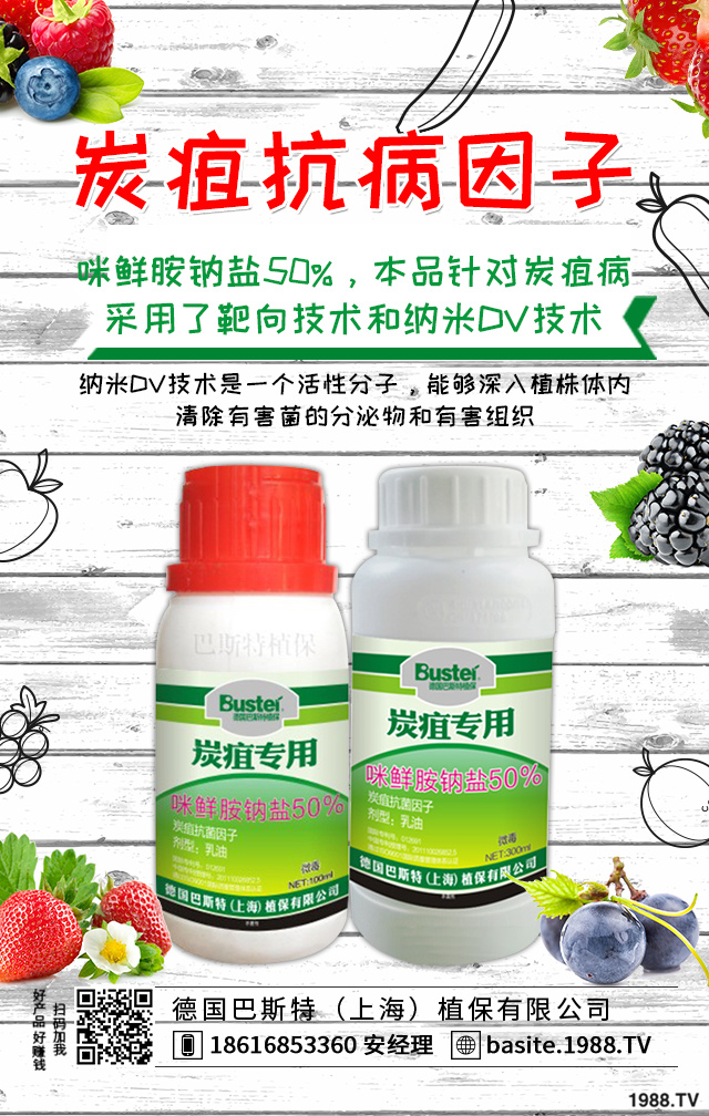 小麥病蟲害危害大!小麥苗期的病害和蟲害介紹