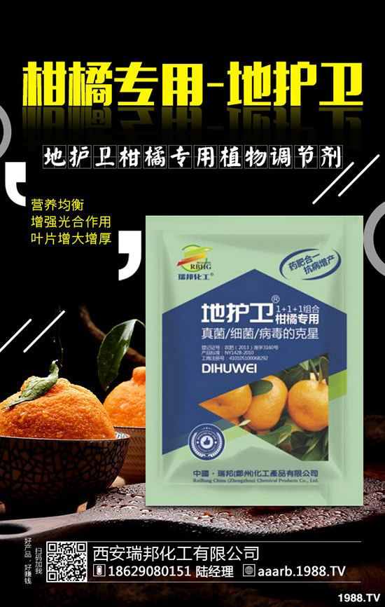 香菜種子如何催芽，香菜提高出苗率的好方法！