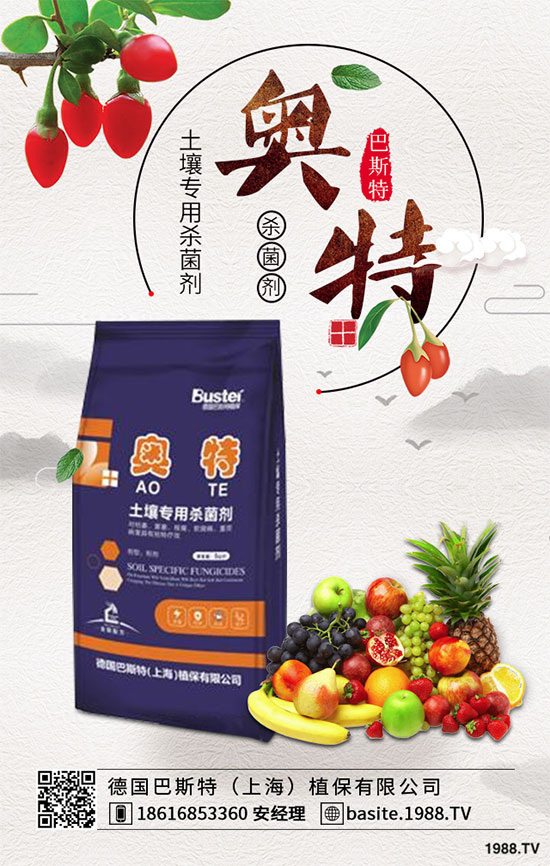 花椰菜出現(xiàn)“散花”怎么辦?花椰菜散花預(yù)防措施!