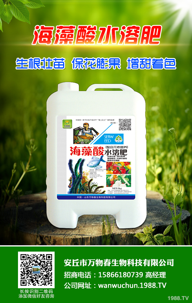 �ﲥС����ô����|(zh��)�����ﲥС������|(zh��)����Ҫ�c