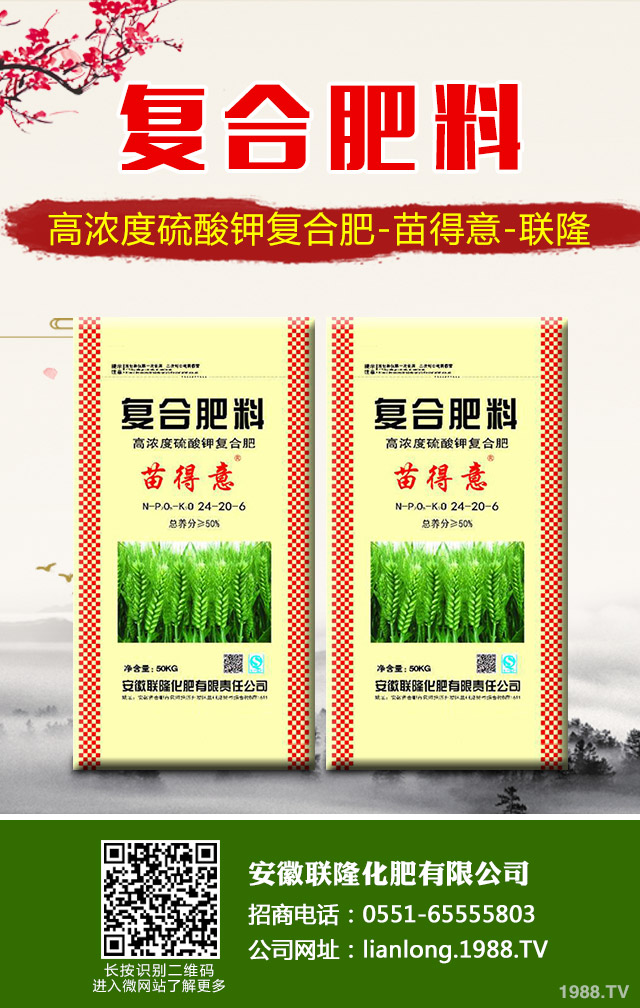 �K�F�~�S�݆��}��ô��Q���K�F�~�S�ݽ�Q����