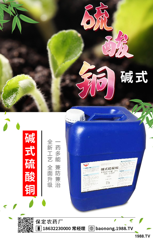 如何巧治蘇鐵葉斑?蘇鐵葉斑病防治技巧