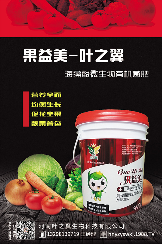 芒果樹環(huán)割的好處，給芒果樹環(huán)割需要注意什么？