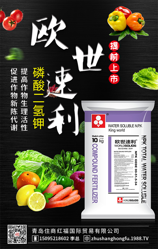 �t���������ô׷�ʺ����t��K�������ʩ�ʷ�����