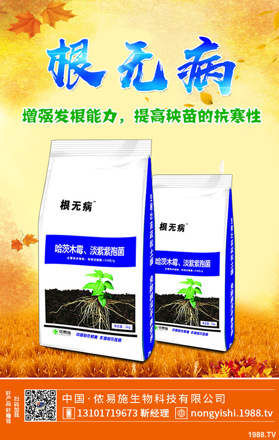 香菜、大蔥、香蔥種植賺錢嗎?常見(jiàn)調(diào)味型蔬菜種植利潤(rùn)分析!