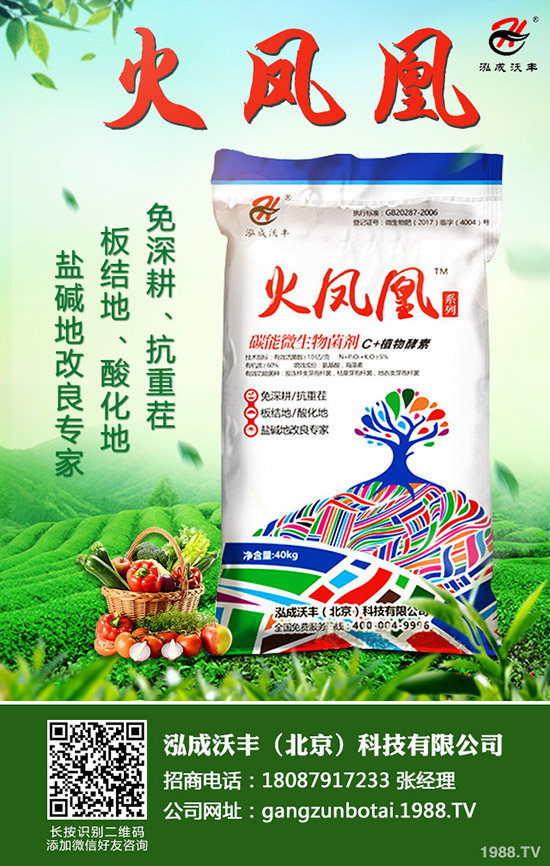 今日國內(nèi)一銨市場價格行情分析早訊2019年9月7日