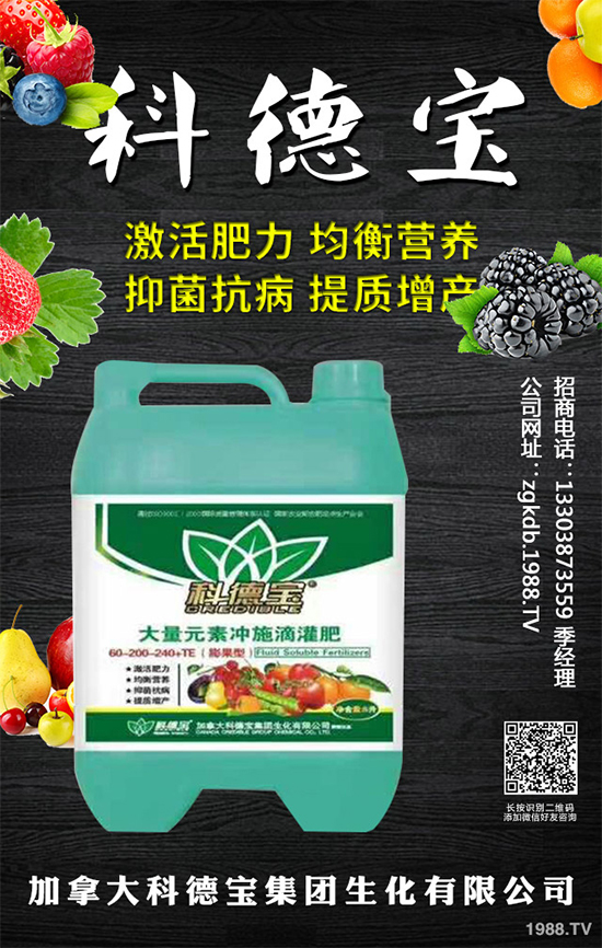 九月種什么蔬菜比較好？2019年9月蔬菜種植指南