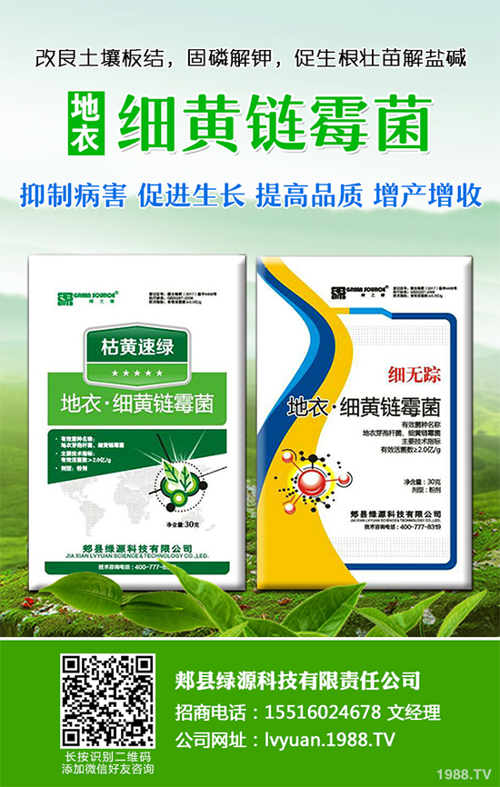 九月種什么蔬菜比較好？2019年9月蔬菜種植指南