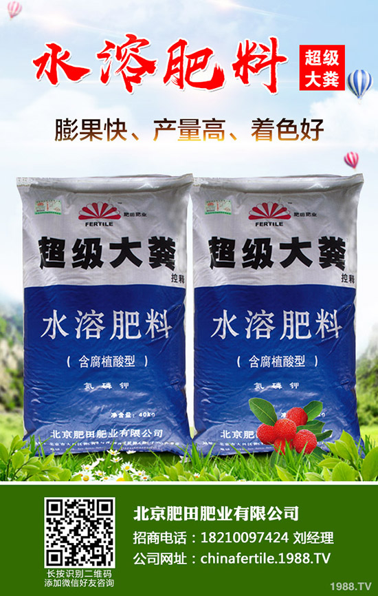 草莓得了紅中柱根腐病怎么辦？草莓紅中柱根腐病識別方法和防治！